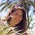 Linda Tokar's profile image