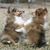 Wendi Houser Hall's profile image