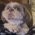 Carol Ann Lentz's profile image