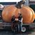 Brittany Rowles's profile image