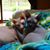 Heidi McCown's profile image