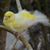 Jerry Baber's profile image