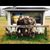 Fred Winterton's profile image