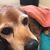 Kimberly Sheppard Grizzaffe's profile image