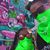 Dulce Corpus's profile image