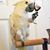 Melissa Logothetis's profile image