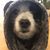Hai Ngan Tran's profile image
