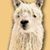 Ricky Sercombe's profile image