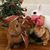 Eileen Walsh's profile image
