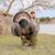 Doug Hicks's profile image