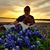 Jane Ingles's profile image