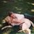 David Hirsch's profile image