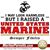 Sue Sebert Satoski's profile image