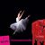 Enza Venditti's profile image