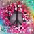 Donna Kaczorowski's profile image