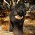 Tracey Chalette's profile image