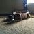 Thomas Phifer's profile image