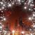 Sherry Wamsley's profile image