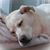 Lori Arledge's profile image