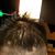 Jeff Li's profile image