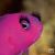 Judy Philippi's profile image