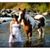 Karen Kelly's profile image