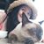 Orn Ornsorn's profile image