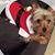Nadine Graham's profile image