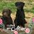 Linda Audi-Burch's profile image