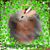 Joan M. Jones's profile image