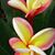 Sandy Zabriskie's profile image