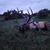 Chance VanWinkle's profile image