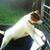 Becky C. Cashwell's profile image