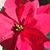 Mary Lou Dinoffria's profile image