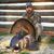 Chris Voyles's profile image