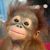 Karen Standish's profile image