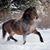 Sandra Rowe's profile image