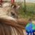 Jd Bright's profile image