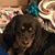 Linda Latremouille's profile image