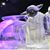 James R Williams Jr's profile image