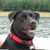 Nicole Piatkiewicz Smith's profile image