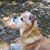 Jill Darnell Duncan's profile image