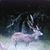 Dick Wirtz's profile image