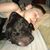 Nancy Douglas Haywood's profile image