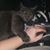 Melissa Decker Schultz's profile image
