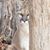Janine Kopping's profile image