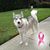 Gulden Welter's profile image