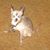 Mary Rose Maxwell's profile image