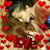 Sumie Michaelis's profile image