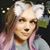 Brandy Troy Reid's profile image
